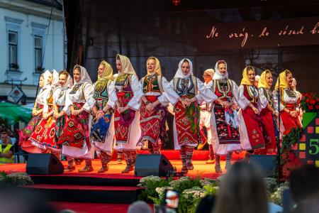 Veselo razpoloženje tudi na drugi festivalski dan Dnevov narodnih noš in oblačilne dediščine v Kamniku (42)